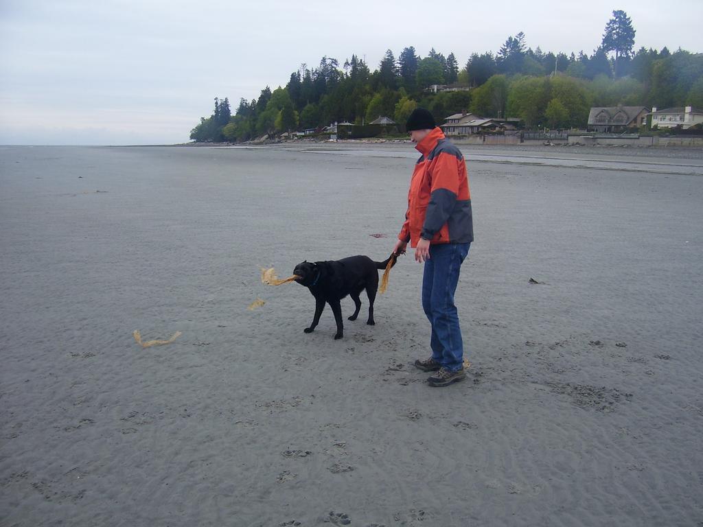 Bed and Breakfast At Nautica Tigh Private Keypad Entrances Qualicum Beach Exterior foto
