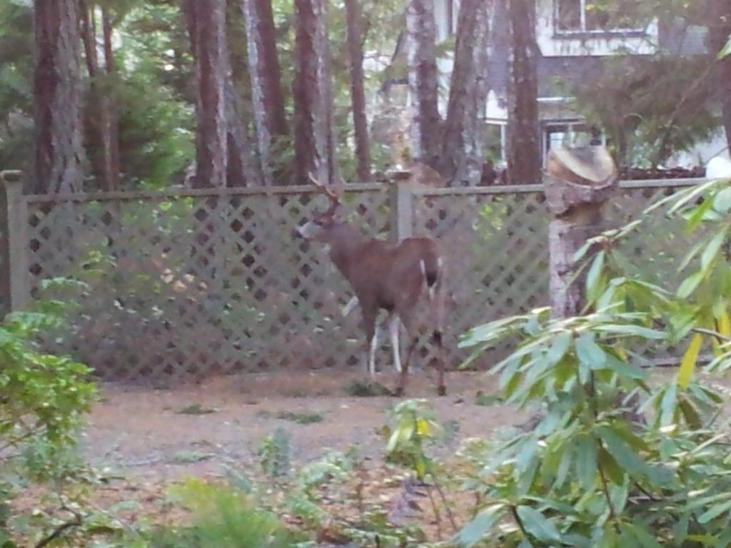 Bed and Breakfast At Nautica Tigh Private Keypad Entrances Qualicum Beach Exterior foto